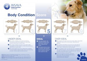 Figure 1. Body condition score chart for dogs.