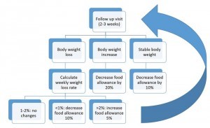Figure 4. Algorithm for weight loss plan follow-up. It is important to ensure the plan has been followed before any modifications are made.