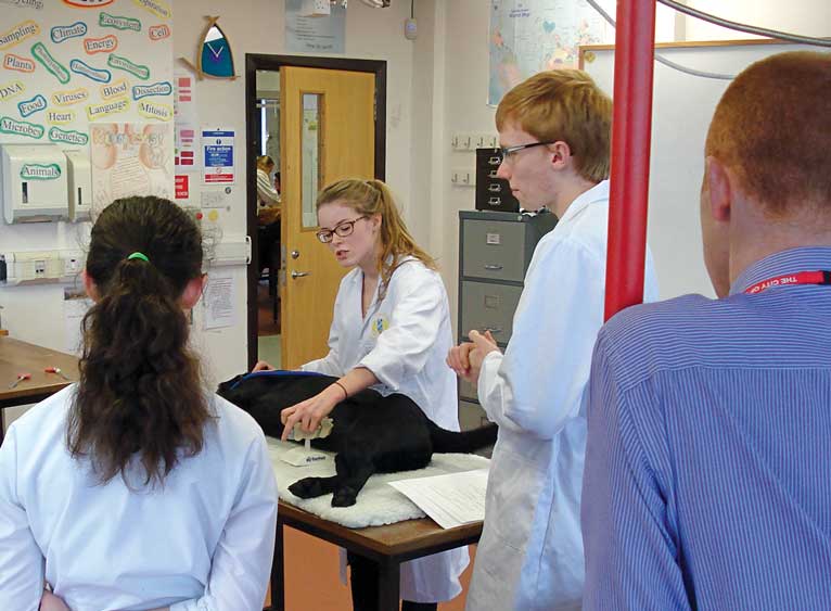 Neil Hudson Vet Times