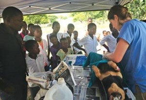 Crowds often formed at clinics in Botswana.