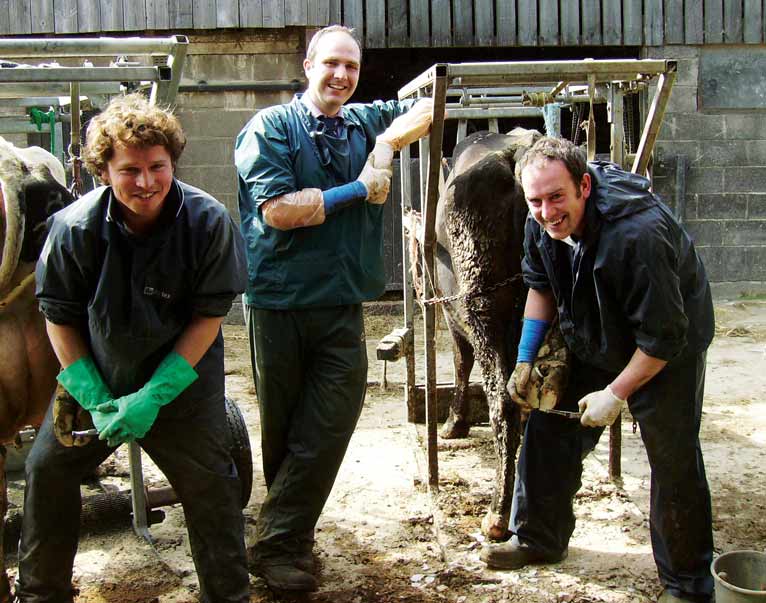 FarmSkills foot trimming: XLVets member practices support farmers through this scheme.