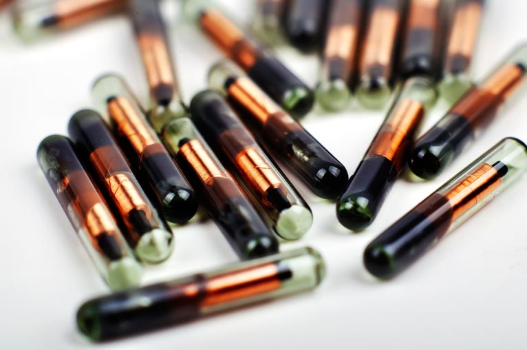 Image: © vetkit/iStock