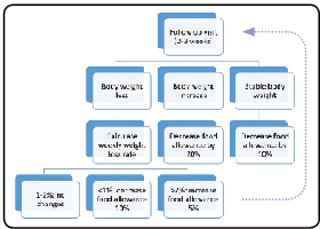 Figure 2. Algorithm for weight loss plan follow-up.