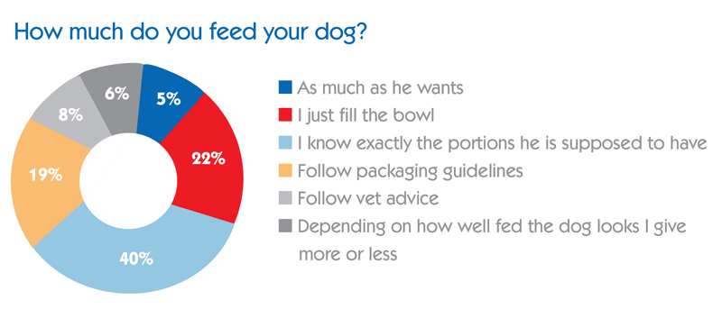 Figure 1. Statistics show clients need educating/help to feed their pets correctly. IMAGE: ©Dogs Monthly.
