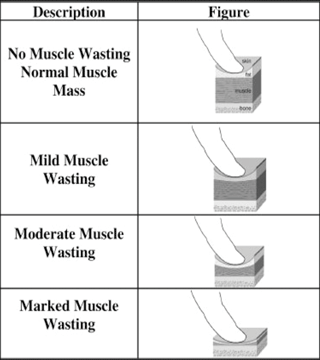 Figure 1. Muscle condition score.