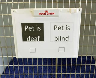 Figure 1. Warning signs displayed on the kennel door will enable staff to adapt their approach to the patient accordingly.