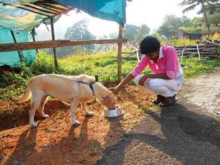 A patient with a veterinary student at Kerala Veterinary and Animal Sciences University.