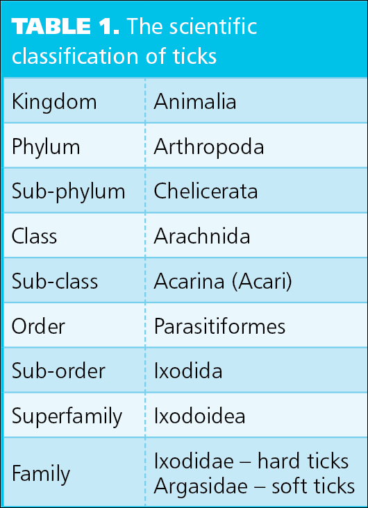 Table 1. The scientific classification of ticks