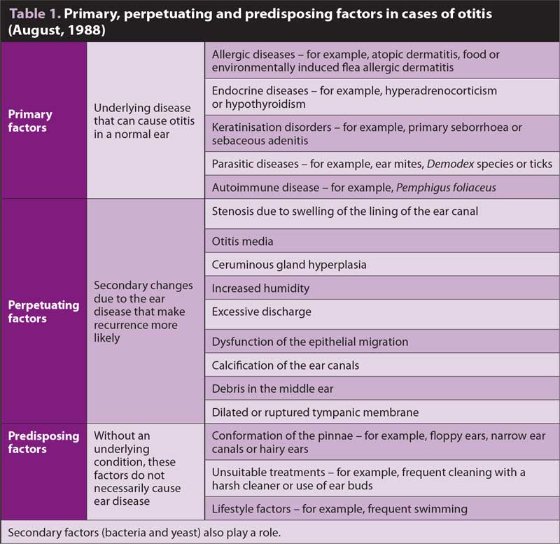 Table 1. Primary, perpetuating and predisposing factors in cases of otitis (August, 1988)