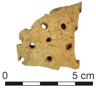 Figure 1. A pottery sherd from an ancient vessel used to strain milk.