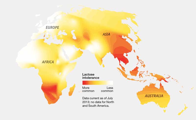 Figure 2. The current geographical distribution of lactose intolerance.
