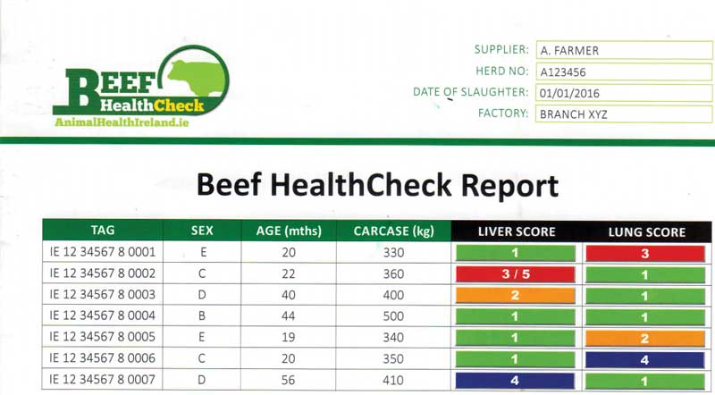 Figure 4. The Beef HeathCheck report allows the farmer and vet to assess liver fluke and pneumonia problems.