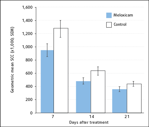 Figure 3. The large New Zealand field study showed cows given meloxicam in addition to antibiotics had lower cell counts after treatment.