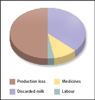 Figure 4. Breakdown of costs from an average case of mastitis.