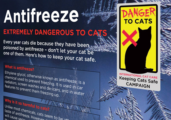 antifreeze antidote antifreeze antidote