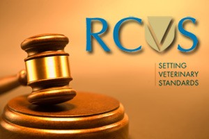 gavel-new-rcvs