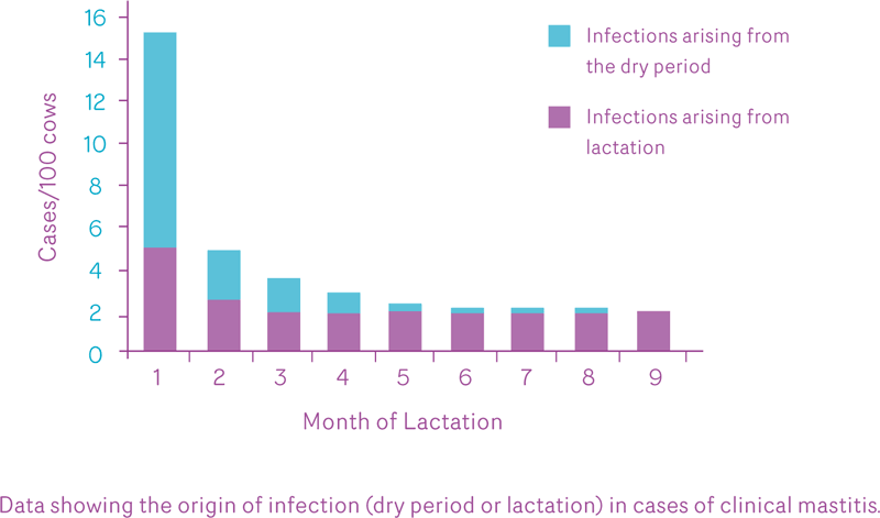 origin-of-infection