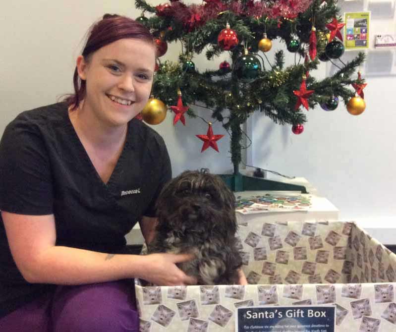 Rebecca Lawrence at Westway Veterinary Group’s West Road, Newcastle branch with Oliver, a former rescue dog.