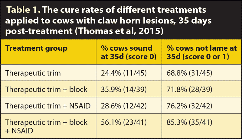 Table 1. The cure rates of different treatments applied to cows with claw horn lesions, 35 days post-treatment (Thomas et al, 2015)