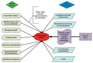 Figure 1. Factors affecting vaccination given to an individual patient.