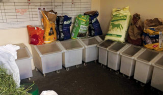 Figure 1. Typical feed room with a wide selection of feeds.