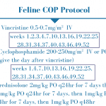 Figure 3. Feline COP protocol.