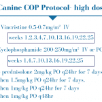 Figure 2. Canine COP protocol – high dose.