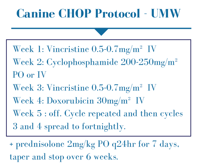 Figure 4. Canine CHOP University Madison Wisconsin protocol.