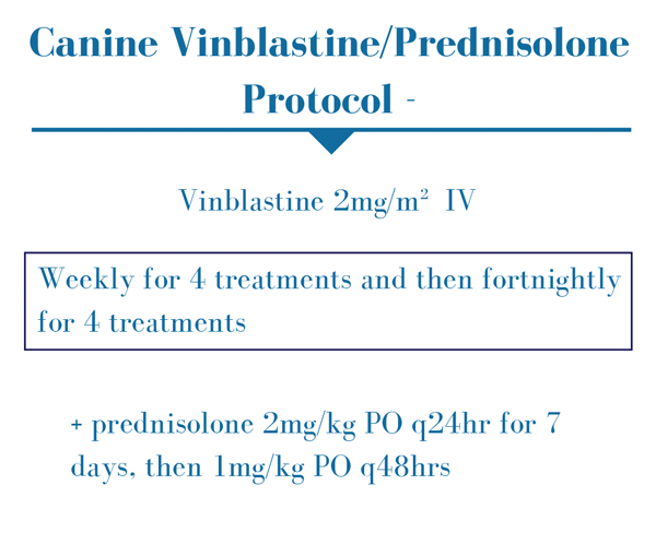 Figure 7. Canine vinblastine/prednisolone protocol.