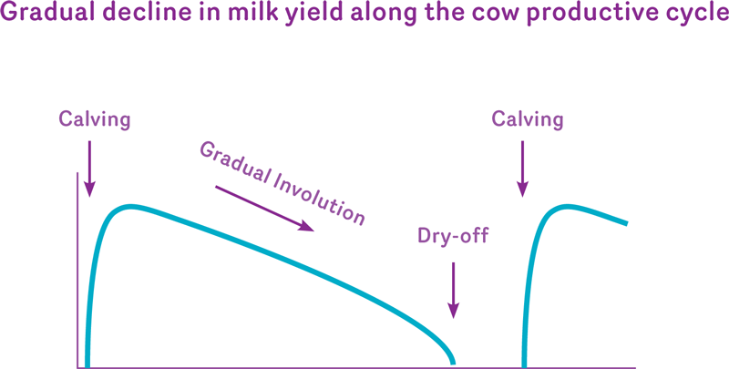 Gradual decline in milk yield