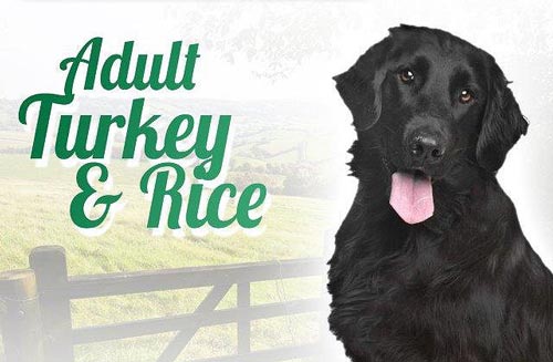 Retriever brand dog sales food