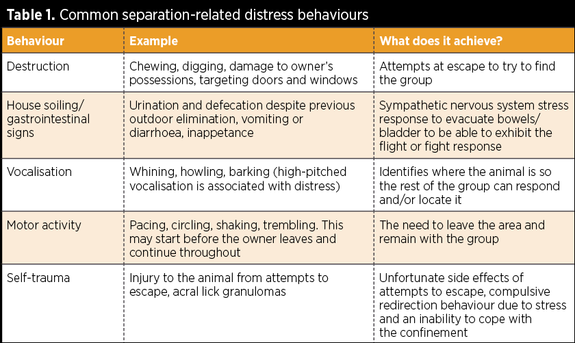 Table 1. Common separation-related distress behaviours.
