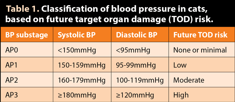 Table 1. Classification of blood pressure in cats, based on future target organ damage (TOD) risk.