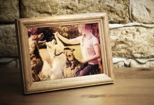 Clients have to live with the death or loss of their animal, and have a legitimate interest in knowing they have made the right decision.