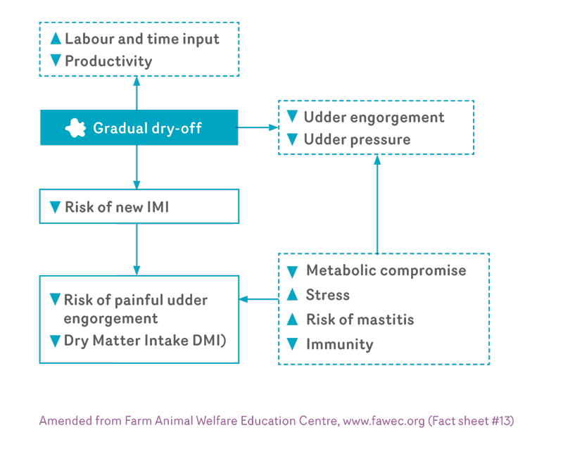 DYBMar16-Graphic-2