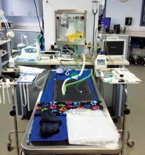Figure 6. Table prepared for induction of anaesthesia, including a heated bed, suction unit, syringe driver and Doppler blood pressure monitor.