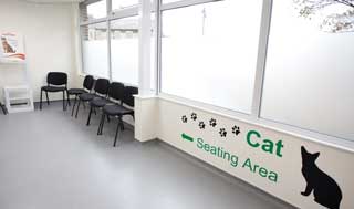 Ian McConnell Veterinary Practice has a dedicated cat-only seating area.