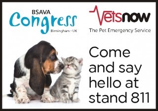 VETS NOW 6985 BSAVA web banner