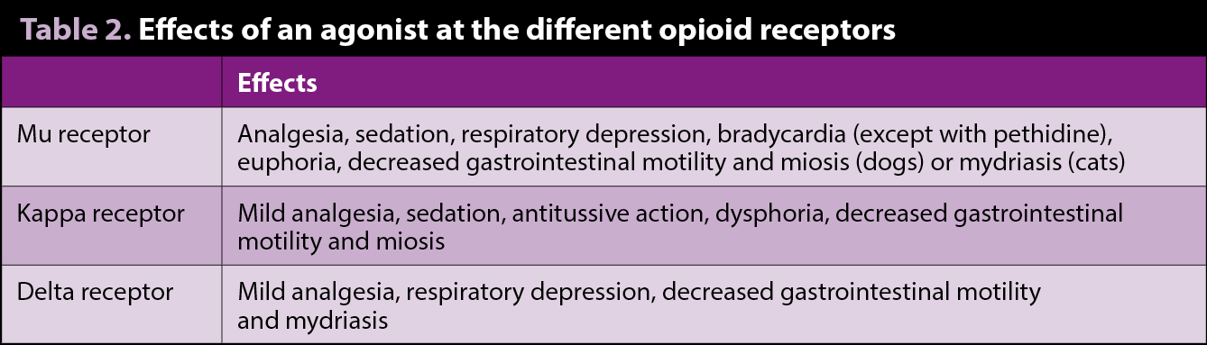 Table 2. Effects of an agonist at the different opioid receptors.