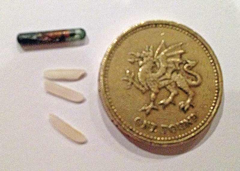 Figure 2. Comparing the size of a microchip to grains of rice and a pound coin. 