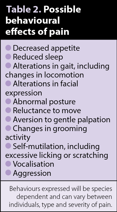 Table 2. Possible behavioural effects of pain.
