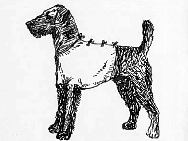 Andrew Gardiner Vet Times