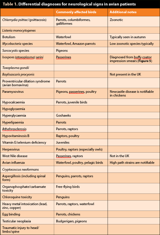 Table 1. Differential diagnoses for neurological signs in avian patients.