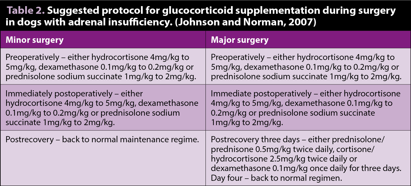 Table 2. Suggested protocol for glucocorticoid supplementation during surgery in dogs with adrenal insufficiency. (Johnson and Norman, 2007).