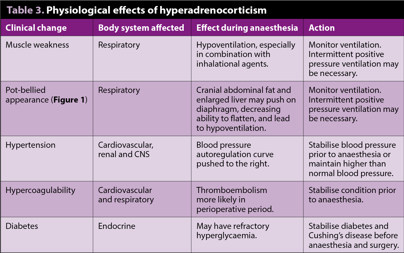 Table 3. Physiological effects of hyperadrenocorticism.