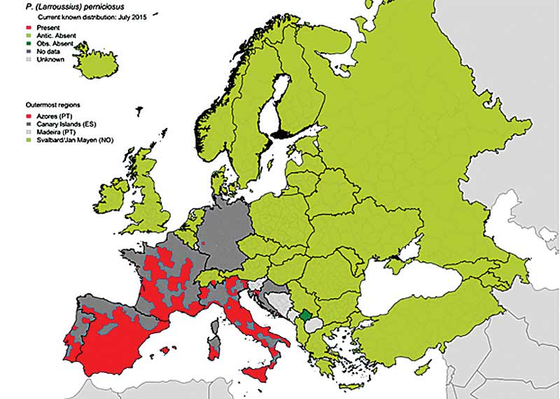 Figure 1. A map showing the geographic distribution of Phlebotomus perniciosus sandfly species in Europe at “regional” administrative level (NUTS3). The map is based on published historical data and confirmed data provided by experts from the respective countries. More information at http://tinyurl.com/okgkpm6