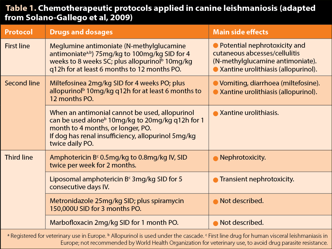 Table 1. Chemotherapeutic protocols applied in canine leishmaniosis (adapted from Solano-Gallego et al, 2009).