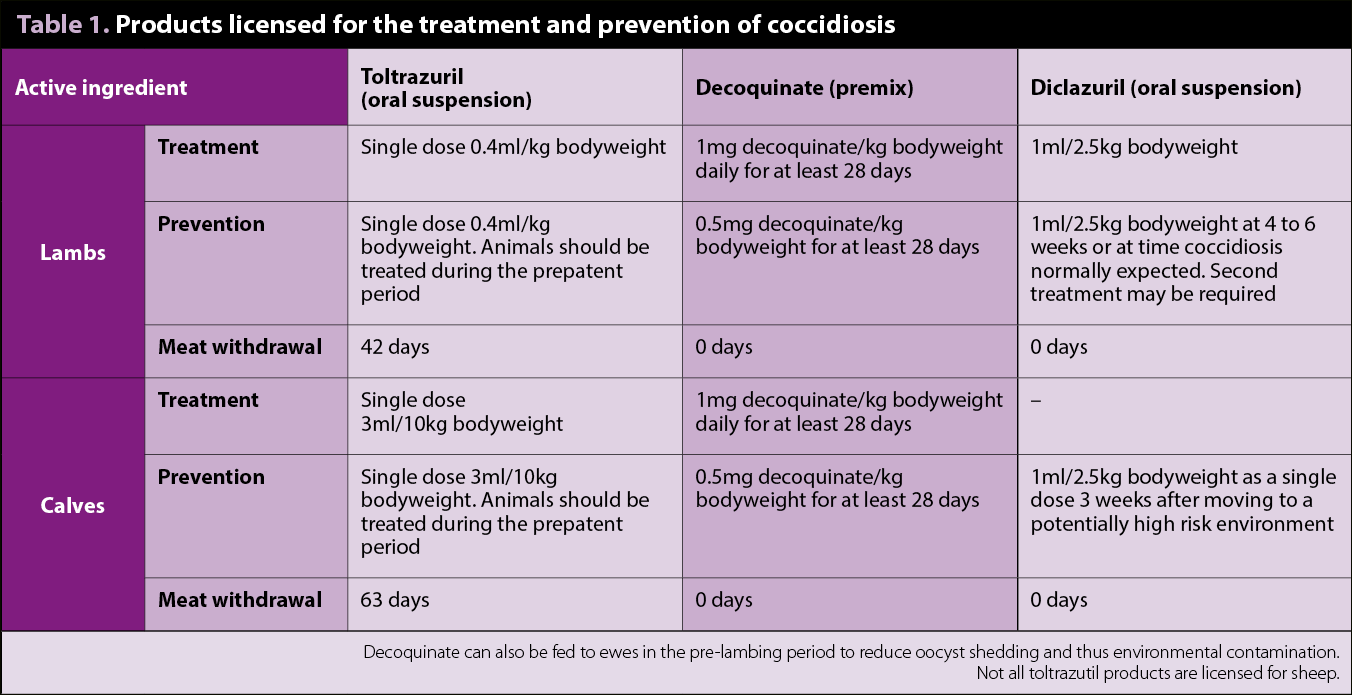 Table 1. Products licensed for the treatment and prevention of coccidiosis.