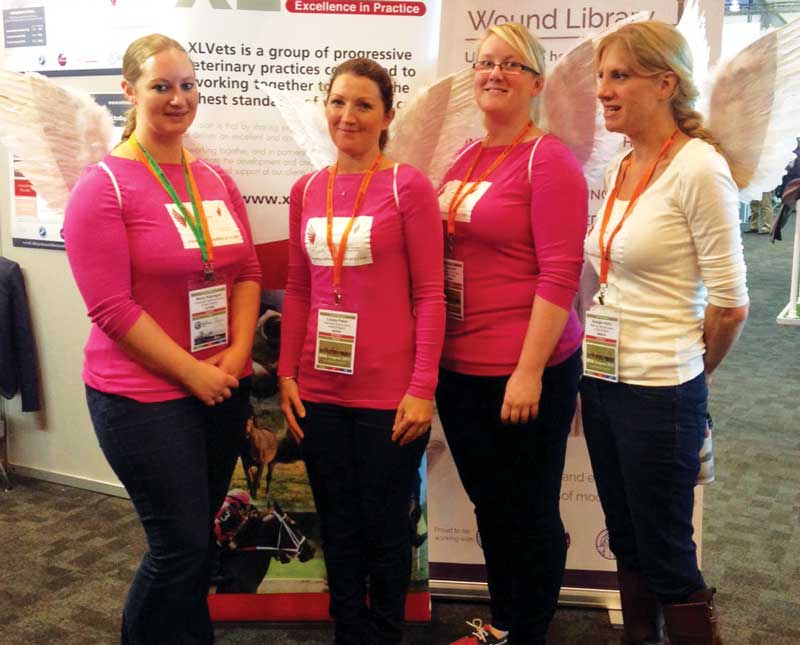 Bandaging angels (from left): Marie Rippingale, Louise Pailor, Kassie Hill and Georgie Hollis at BEVA Congress 2015.