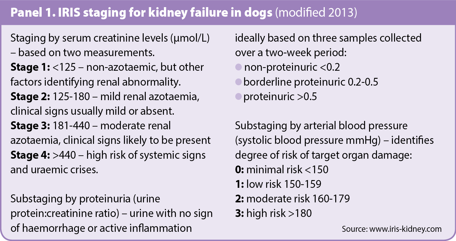 Panel 1. IRIS staging for kidney failure in dogs (modified 2013)